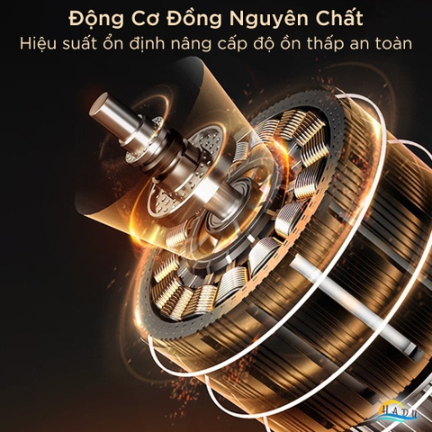 Máy Xay Cà Phê Hạt Cầm Tay Mini Tự Động Cao Cấp Đạt Chất Lượng LFGB Đức SSGP