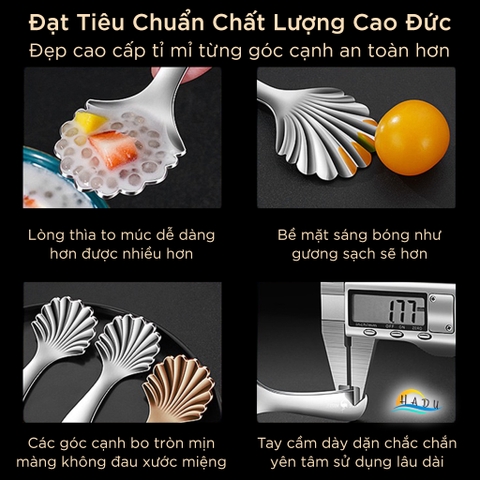 Thìa Múc Inox 304 Cao Cấp – Đầu Sâu, Tay Cầm Thoải Mái, Đa Năng Dùng Múc Trà, Sữa Bột, Bánh, Thạch SSGP