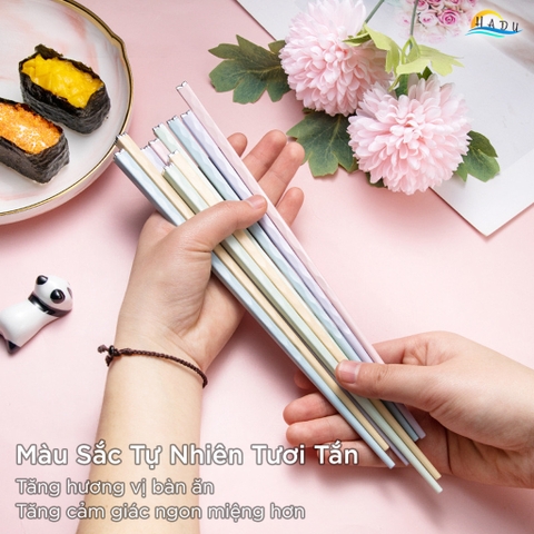 Bộ 5 Đôi Đũa Sợi Thủy Tinh HADU Họa Tiết Hoa Anh Đào, Chống Trơn, Chống Mốc, 24.3cm, Nhiều Màu