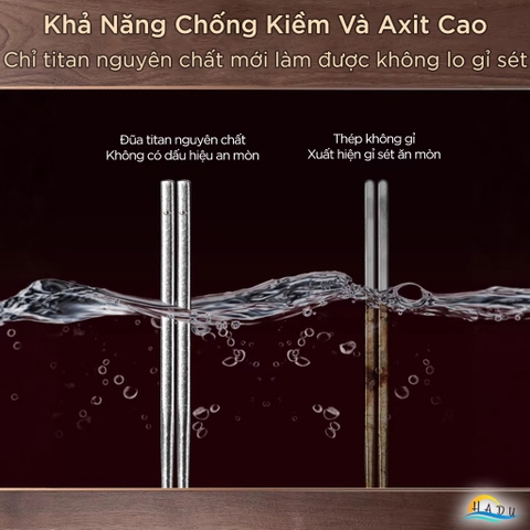 Hộp 5 Đôi Đũa Titan Nguyên Chất 99.8% SSGP Siêu Nhẹ, Đũa Ăn Cơm Rỗng Cách Nhiệt, Chống Mốc Đạt Chất Lượng LFGB Đức