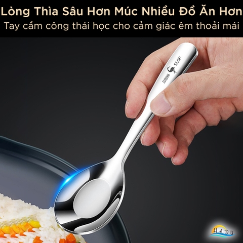 Thìa Muỗng Inox 316 Cao Cấp SSGP, Thìa Muỗng Ăn Cơm Phở Kháng Khuẩn Đạt Chất Lượng LFGB Đức