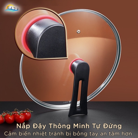 Chảo Chống Dính Lòng Sâu Bếp Từ SSGP 26cm 28cm, Phủ Ceramic Đá, Nắp Kính Tự Đứng, Đạt Chất Lượng LFGB Đức