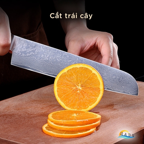 Dao Thái Thịt Nhà Bếp Siêu Sắc Cao Cấp Kiểu Nhật Bản Damacus Đạt Chất Lượng Của Đức SSGP