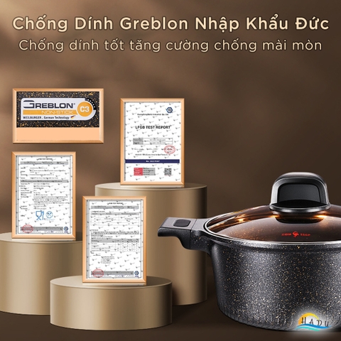 Nồi Chống Dính Bếp Từ Vân Đá Có Nắp 20cm 24cm Cao Cấp Đạt Chất Lượng LFGB Đức SSGP