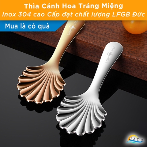 Thìa Múc Inox 304 Cao Cấp – Đầu Sâu, Tay Cầm Thoải Mái, Đa Năng Dùng Múc Trà, Sữa Bột, Bánh, Thạch SSGP