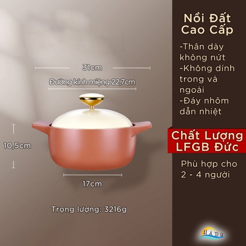 Nồi Đất Dùng Cho Bếp Từ SSGP 22cm, Thân Dày 11mm, Nắp Mạ Vàng, Đạt Chất Lượng LFGB Đức