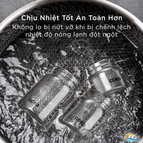 Hũ Chưng Yến Thủy Tinh Borosilicate CCKO, Nắp Inox 304 Kín Hơi, Chịu Nhiệt