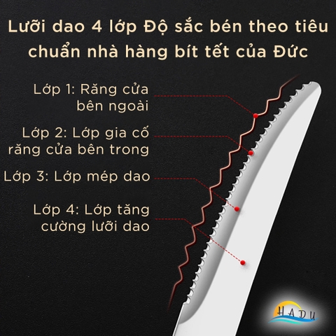 Bộ 12 Món Dao Dĩa Ăn Bít Tết SSGP, Inox 304, Lưỡi Răng Cưa Sắc Bén, Đạt Chất Lượng LFGB Đức