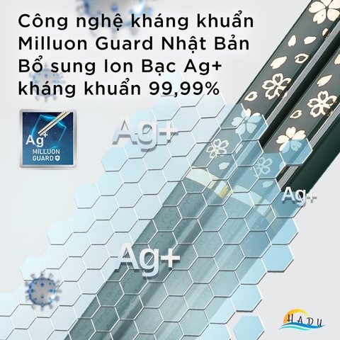 Bộ 5 Đôi Đũa Sợi Thủy Tinh HADU Họa Tiết Hoa Anh Đào, Kháng Khuẩn, Chống Trơn, 24.3cm, Màu Xanh Bắc Âu