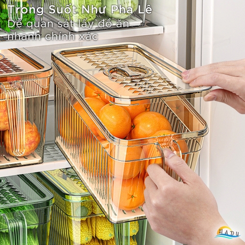 Hộp Bảo Quản Rau Củ Tủ Lạnh CCKO 6L, Có Rổ Lọc Chống Úng, Nắp Ghi Ngày, Nhiều Màu