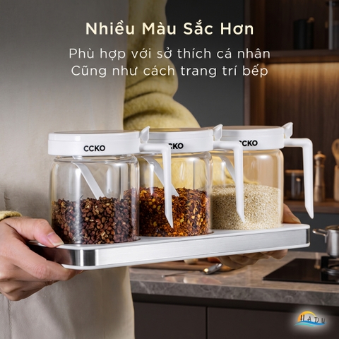 Bộ 3 Hũ Đựng Gia Vị Thủy Tinh CCKO, Nắp Vỏ Sò, Kèm Thìa và Khay