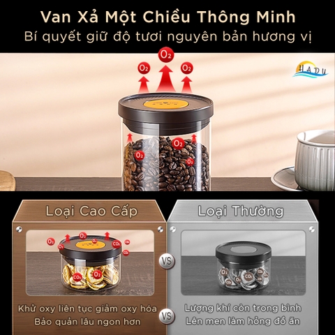 Hộp Thủy Tinh Bảo Quản SSGP, Có Van Xả 1 Chiều, Chống Oxy Hóa, Xếp Chồng, Đạt Chất Lượng LFGB Đức