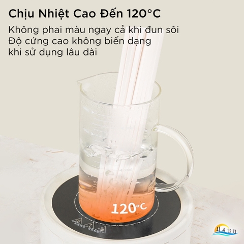 Đũa Ăn Cơm Kháng Khuẩn HADU Màu Trắng Be, Đũa Sợi Thủy Tinh Chống Mốc, Đầu Nhám Chống Trượt, Chịu Nhiệt 120°C