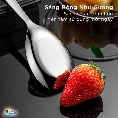 Thìa Ăn Phở Inox 304 CCKO, Đúc Nguyên Khối, Lòng Sâu, 3 Size