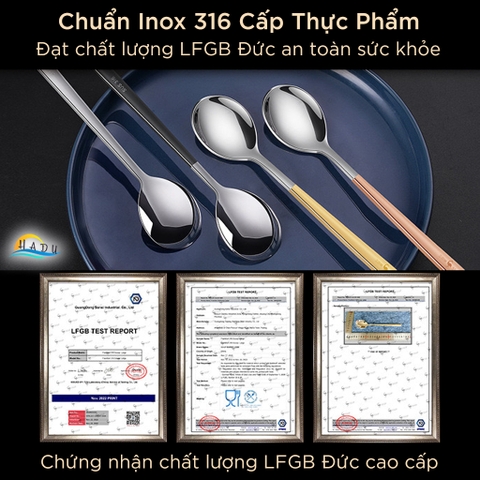 [Hộp 4 Cái] Thìa Ăn Cơm Inox 316L SSGP, Kháng Khuẩn, Dài 18.8cm, Đạt Chất Lượng LFGB Đức