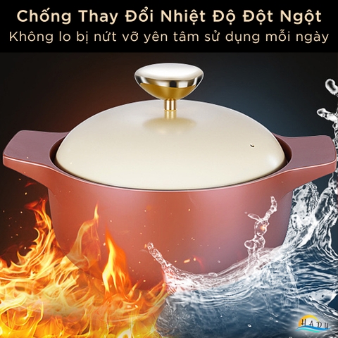 Nồi Đất Dùng Cho Bếp Từ SSGP 22cm, Thân Dày 11mm, Nắp Mạ Vàng, Đạt Chất Lượng LFGB Đức