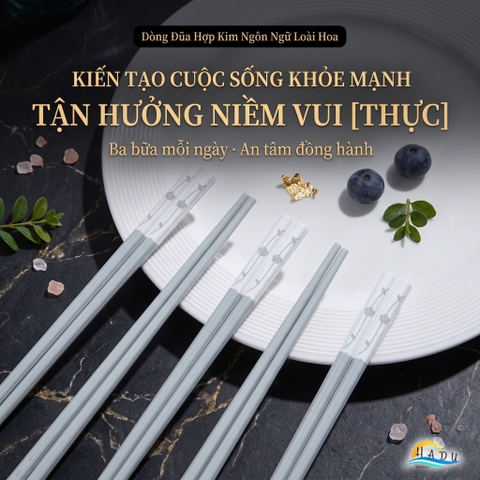 Bộ 5 Đôi Đũa Sợi Thủy Tinh HADU Chống Mốc, Kháng Khuẩn, Chống Trơn, Dài 24.3cm