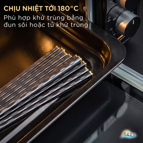 Bộ 5 Đôi Đũa Sợi Thủy Tinh HADU Họa Tiết Hoa Lấp Lánh, Chống Trơn, Chịu Nhiệt, 24.3cm