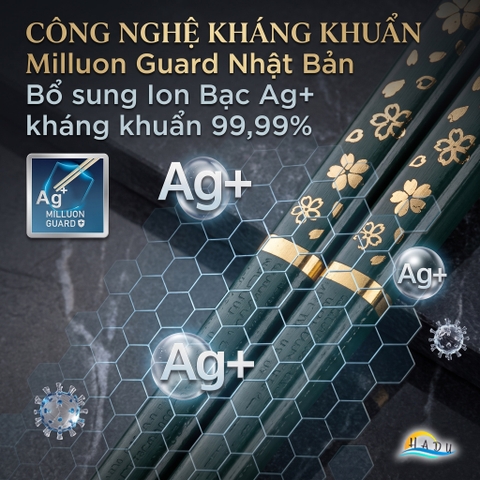 Bộ 5 Đôi Đũa Sợi Thủy Tinh HADU Họa Tiết Hoa Anh Đào, Kháng Khuẩn, Chống Trơn, 24.3cm, Màu Xanh Bắc Âu