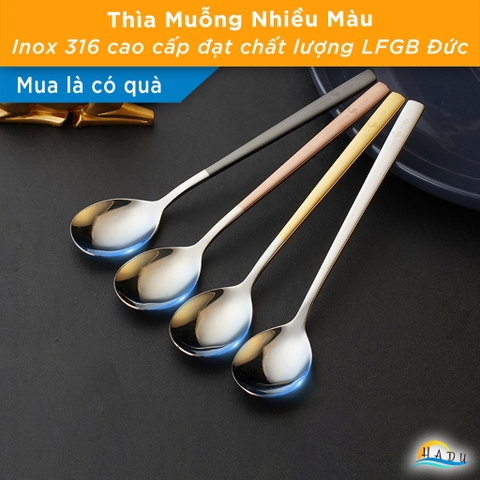 [Hộp 4 Cái] Thìa Ăn Cơm Inox 316L SSGP, Kháng Khuẩn, Dài 18.8cm, Đạt Chất Lượng LFGB Đức