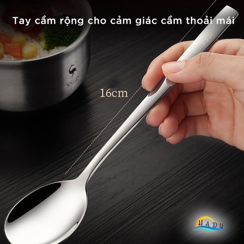 Bộ 6 Thìa Cà Phê Inox 304 SSGP, Cán Dày 3.5mm, Đánh Bóng Gương, Dài 15.3cm, Đạt Chất Lượng LFGB Đức