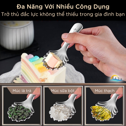 Thìa Múc Inox 304 Cao Cấp – Đầu Sâu, Tay Cầm Thoải Mái, Đa Năng Dùng Múc Trà, Sữa Bột, Bánh, Thạch SSGP