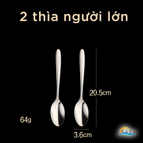 [2 Cái] Thìa Ăn Chính Inox 316L SSGP, Đúc Nguyên Khối, Kháng Khuẩn, Sang Trọng, Dài 20.5cm, Đạt Chất Lượng LFGB Đức