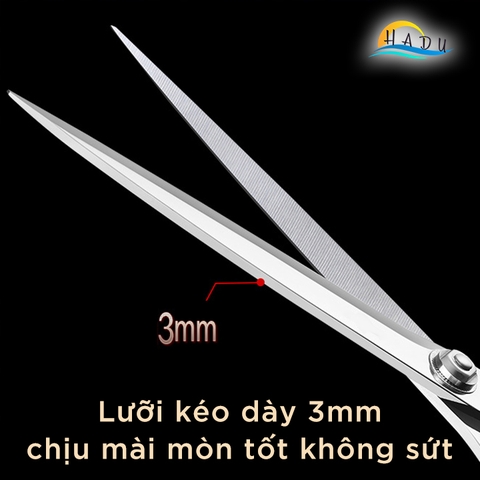 Kéo Cắt Vải Chuyên Nghiệp Cầm Tay Cao Cấp Đạt Chất Lượng Đức Dài 10ich SSGP