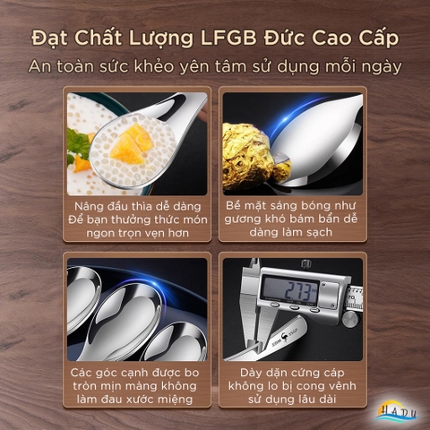Thìa Muỗng Inox 316 Cao Cấp SSGP, Thìa Muỗng Ăn Cơm Phở Kháng Khuẩn Đạt Chất Lượng LFGB Đức