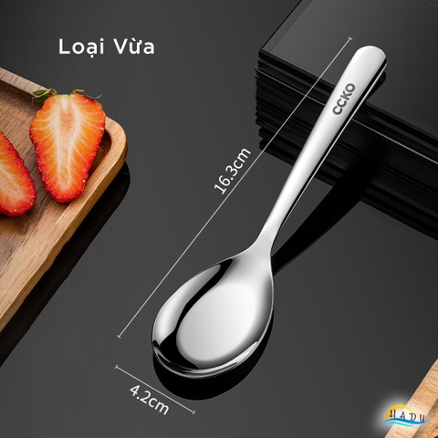 Thìa Ăn Phở Inox 304 CCKO, Đúc Nguyên Khối, Lòng Sâu, 3 Size