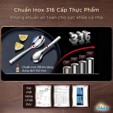 Thìa Muỗng Inox 316 Cao Cấp SSGP, Thìa Muỗng Ăn Cơm Phở Kháng Khuẩn Đạt Chất Lượng LFGB Đức