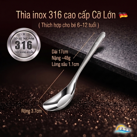 Thìa Phục Vụ Đa Năng SSGP, Inox 316L, Đầu Sâu, Kháng Khuẩn, Đạt Chất Lượng LFGB Đức