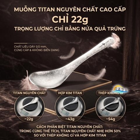 Thìa Ăn Titan Nguyên Chất SSGP, Siêu Nhẹ 22g, Kháng Khuẩn, Dài 15.5cm, Đạt Chất Lượng LFGB Đức