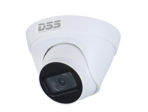 Camera IP Dome hồng ngoại 4.0 Megapixel DAHUA DS2431TDIP-S2