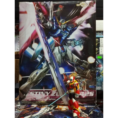 Mô hình lắp ráp MG 1/100 gundam Destiny - Heine - MMK