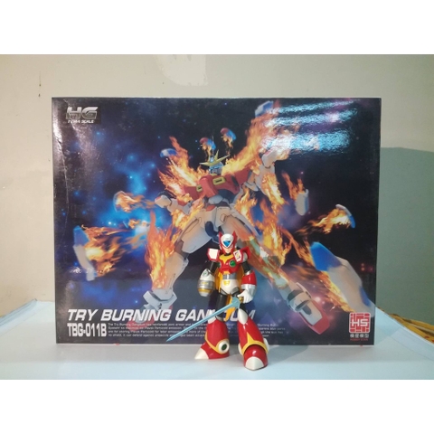 Mô hình lắp ráp HG 1/144 Try Burning gangdunm gundam HS Hobby Star