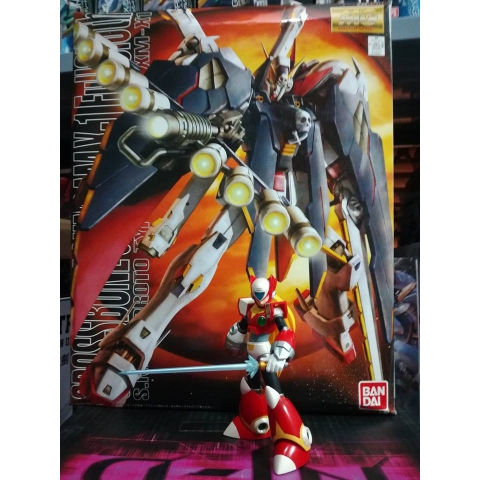 Mô hình lắp ráp MG 1/100 XM-X1 Crossbone Gundam X1 Full Cloth BANDAI