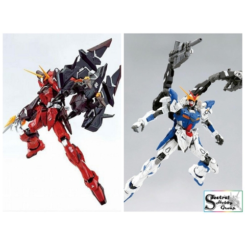 Mô hình lắp ráp MMK MG 1/100 Testament Out Frame D Gundam Dragon Momoko