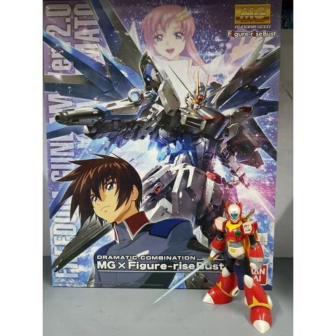 Mô hình Gunpla MG 1/100 Freedom Gundam 2.0 & figure-rise bust kira yamato