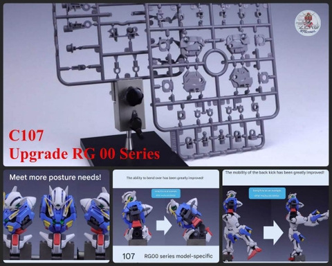 Phụ kiện nâng cấp Upgrade Frame cho dòng RG 00 Series ( exia, 00raiser, Qant, Astraea,...) - C107