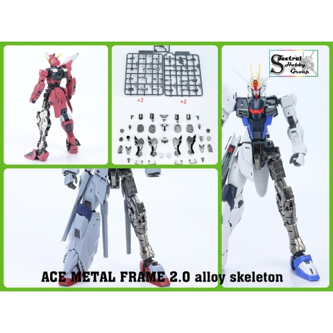 Phụ kiện mô hình bộ xương khợp kim metal frame ACE cho Freedom 2.0 / Justice / Providence alloy skeleton (kèm decal)
