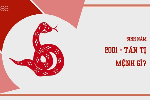 Sinh năm 2001 mệnh gì ? hợp màu nào ?