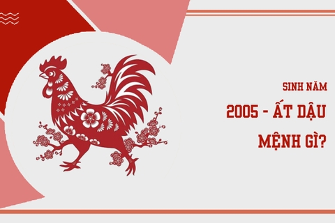 Sinh năm 2005 mệnh gì ? hợp màu nào ?