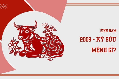 Sinh năm 2009 mệnh gì ? hợp màu nào ?