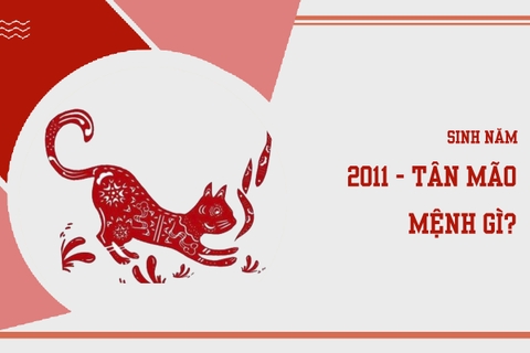 Sinh năm 2011 mệnh gì ? hợp màu nào ?