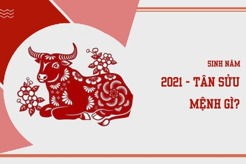 Sinh năm 2021 mệnh gì ? hợp màu nào ?