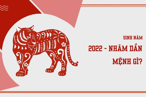 Sinh năm 2022 mệnh gì ? hợp màu nào ?