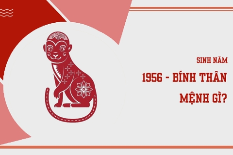 Sinh năm 1956 mệnh gì ? hợp màu nào ?