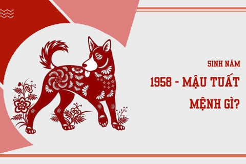Sinh năm 1958 mệnh gì ? hợp màu nào ?