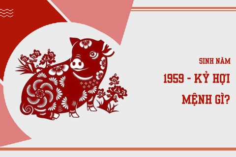 Sinh năm 1959 mệnh gì ? hợp màu nào ?